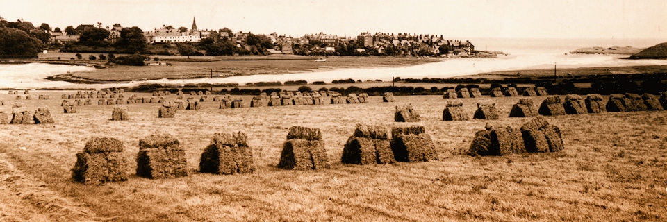 Hay Stooks and Alnmouth beyond c.1910